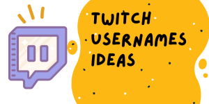 Read more about the article 250+ Cool & Catchy Twitch Usernames Ideas 2024