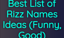 Best List of Rizz Names Ideas (Funny, Good) 2024