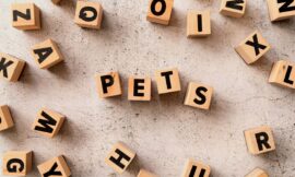 150+ Best & Funny Nicknames That Starts With S 2024