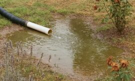 MY NEIGHBOR RUINED MY GARDEN BY SECRETLY REROUTING HIS SEWAGE LINE INTO IT TO SAVE MONEY – I DIDN’T CONTACT A LAWYER, BUT HANDLED IT CREATIVELY.  I live in the little house I inherited from my grandparents. It’s nothing fancy, but the garden was my sanctuary. Until Todd moved in. Rude, loud, and always “fixing” something on weekends.  Then one day, the garden started smelling… off. My lavender wilted. My grandma’s roses? Dead. I stepped outside and my boots squished. That’s when I called a plumber.  His verdict? Todd had SECRETLY CONNECTED HIS SEWAGE to MY backyard during his “upgrades.”  To save money. On his sewage bills.  I was furious. But instead of confronting him or writing to a lawyer, I decided to take matters into my own hands to teach him a CRAFTY lesson once and for all.  What I did is in the comments below.