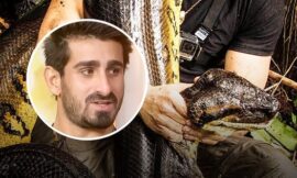 Man Who Tried To Get Eaten Alive By Snake Immediately Regretted It