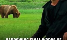 Harrowing Final Words Of Man Before He And Girlfriend Were Eaten Alive By Bear On Camera