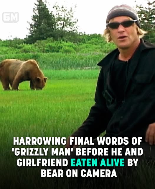 Read more about the article Harrowing Final Words Of Man Before He And Girlfriend Were Eaten Alive By Bear On Camera
