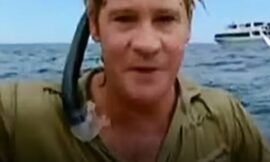 Steve Irwin’s Devastating Final Words As Last Minute Decision Cost Him His Life