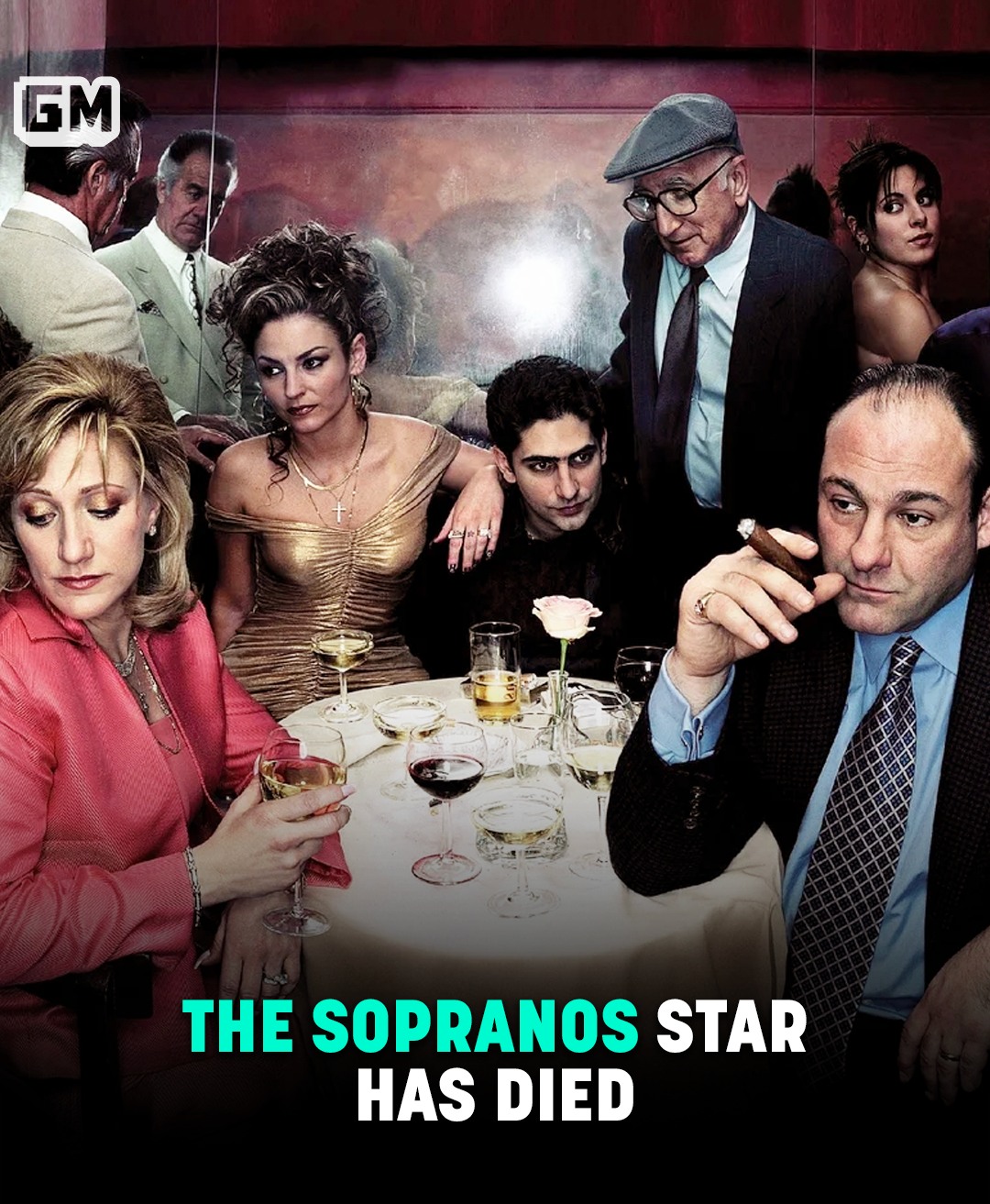 Read more about the article The Sopranos Star Has Died