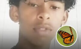 Boy, 14, Dies After ‘Injecting Himself With Butterfly’ In Horror ‘Online Challenge’