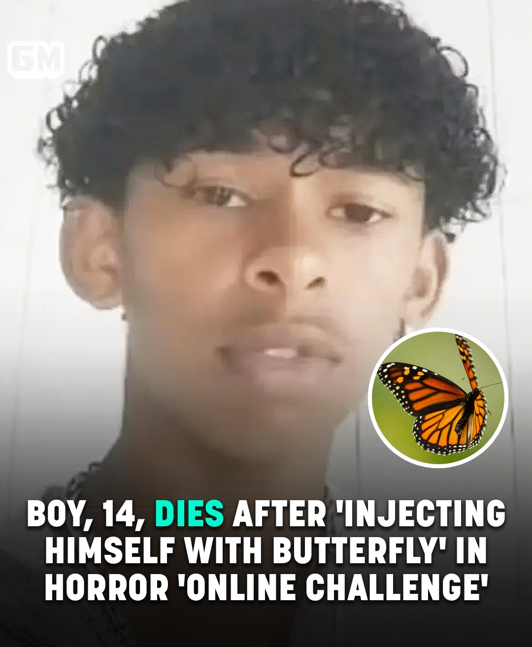 Read more about the article Boy, 14, Dies After ‘Injecting Himself With Butterfly’ In Horror ‘Online Challenge’