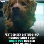 Horror Film Shot Entirely From Dog’s POV Is ‘Most Disturbing’ Movie Fans Have Ever Seen