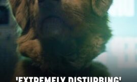 Horror Film Shot Entirely From Dog’s POV Is ‘Most Disturbing’ Movie Fans Have Ever Seen