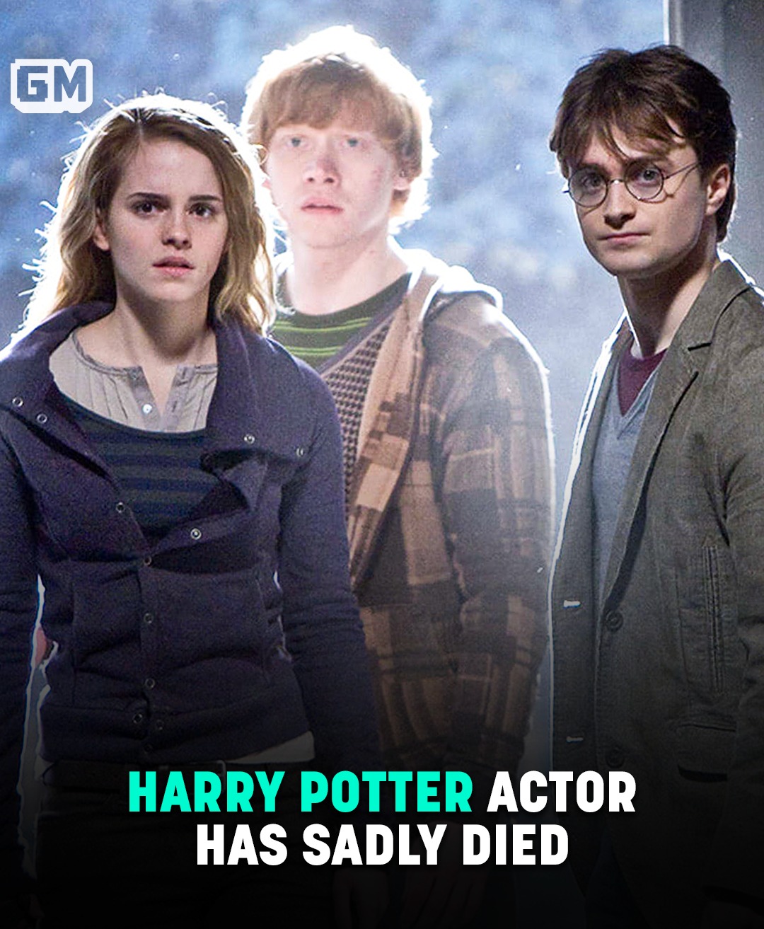 Read more about the article Harry Potter Star Has Died