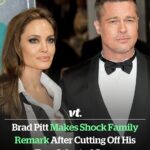 Brad Pitt makes shock family remark after ‘cutting off his two adopted sons’