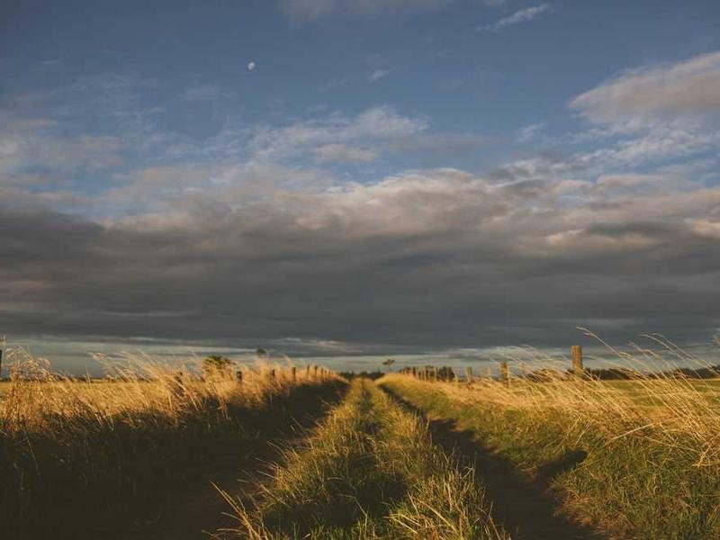 Read more about the article Veteran With PTSD Gets Surprise Service Dog – His Reaction Has Everyone Reaching For Tissues