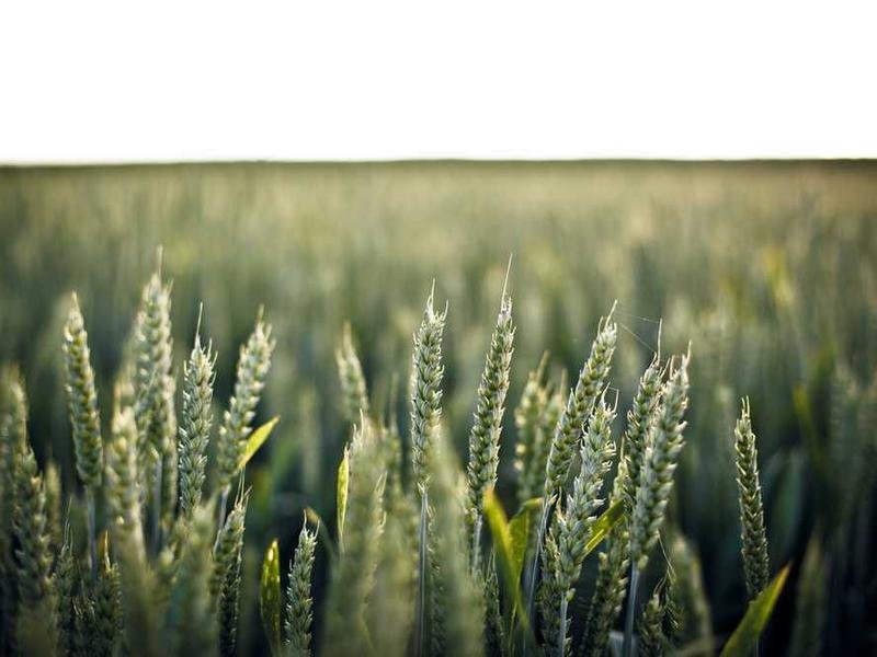 Read more about the article Janitor Secretly Pays Student Lunch Debt For Years – Truth Finally Comes Out