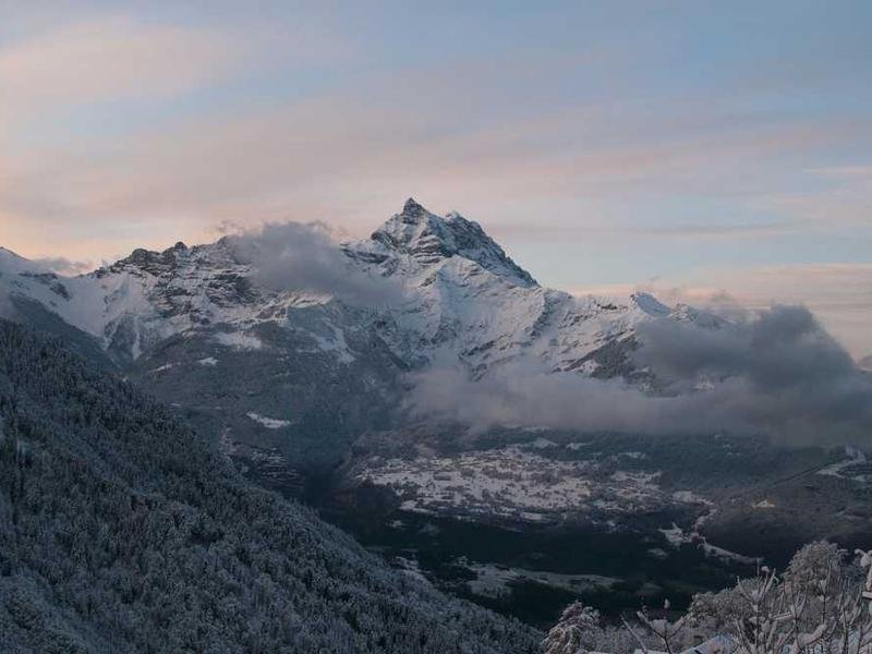 Read more about the article Abandoned Dog Protects Suitcase For Weeks – What Rescuers Find Inside Changes Everything