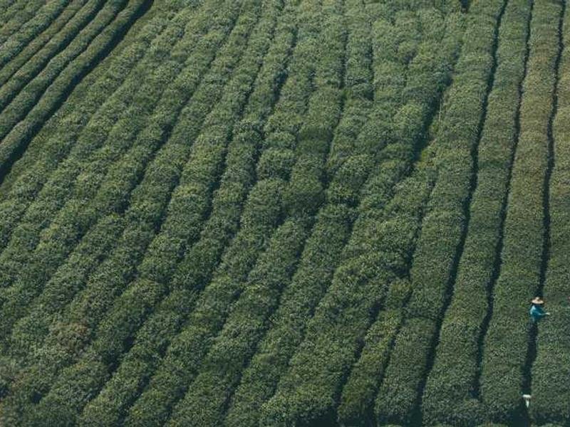 Read more about the article Musician Plays Piano In Airport – Crowd’s Reaction Gives Him Record Deal