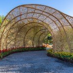 Dutch Expo Showcases Creative Ways to Build a Greener Future ￼