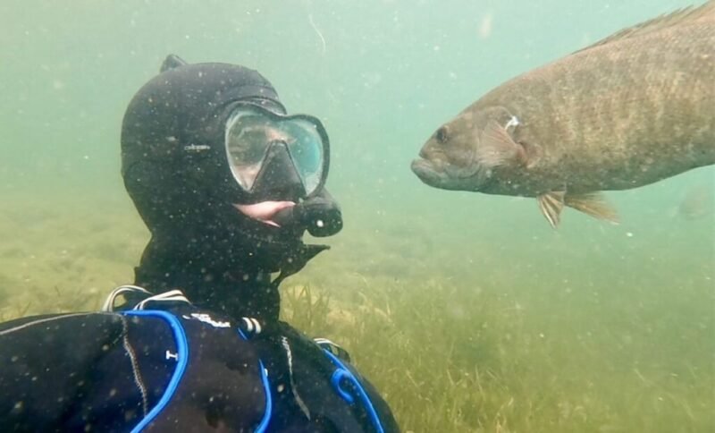 Read more about the article Diver Documents His Heartwarming 2-Year Friendship With a Wild Bass: “My Buddy Beneath the Waves”