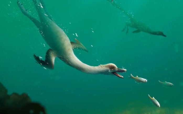 Read more about the article Meet the Natovenator: The First Known Swimming Dinosaur With a Mouth Full of Tiny Teeth