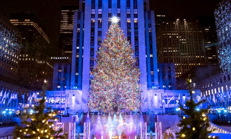 Read more about the article Rockefeller Center Reveals 2024 Christmas Tree — See the 11-Ton Norway Spruce
