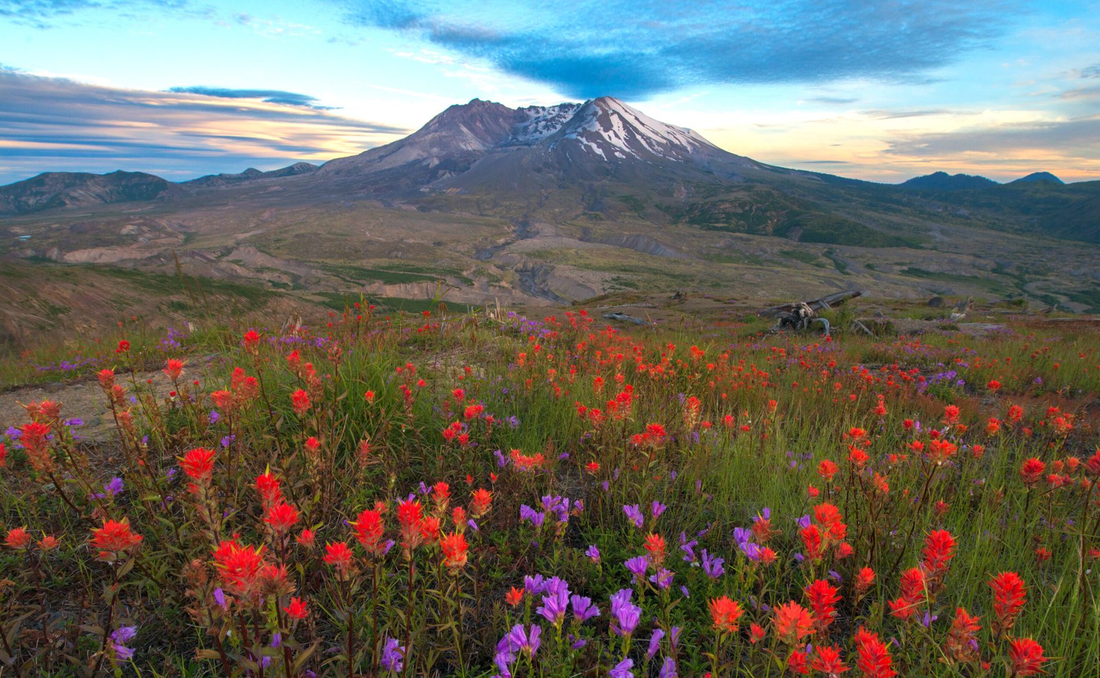 You are currently viewing How Gophers Helped Regenerate Life on Mount St. Helens in Just 1 Day Following 1980 Eruption