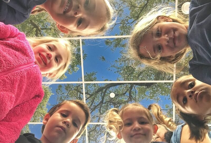 Read more about the article “It Calms Me Up”: Nonprofit Installs Photographed Tree Canopies in Classrooms