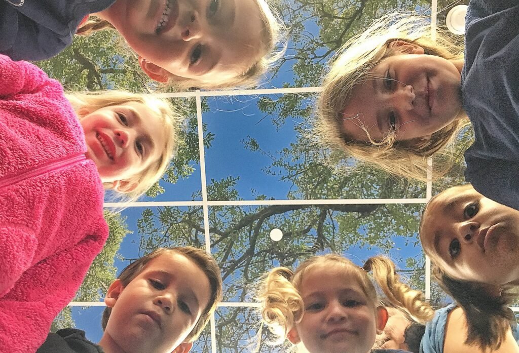 You are currently viewing “It Calms Me Up”: Nonprofit Installs Photographed Tree Canopies in Classrooms