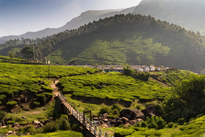 Read more about the article How Local Villagers and the Indian Government Joined Forces to Save a Biologically “Dead” River