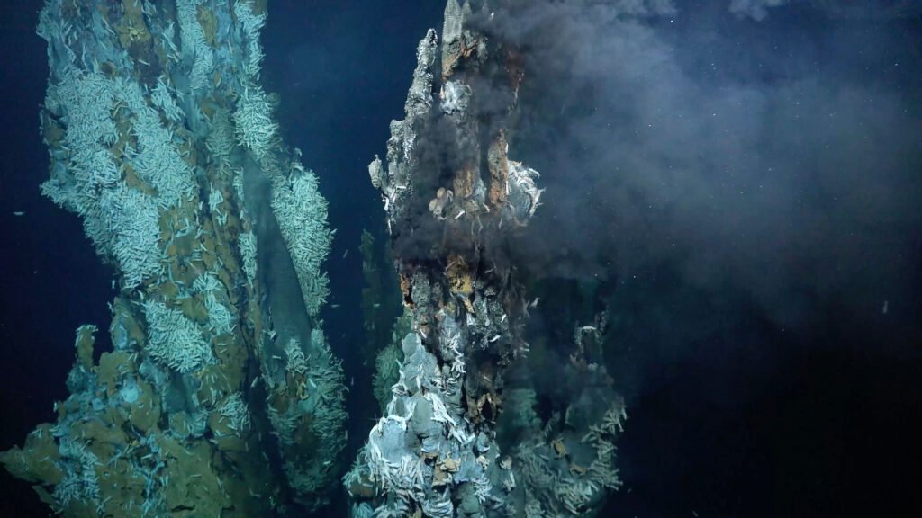 You are currently viewing A “History-Making” Deep-Sea Expedition Discovered Rich Array of Life at Three Hydrothermal Vents