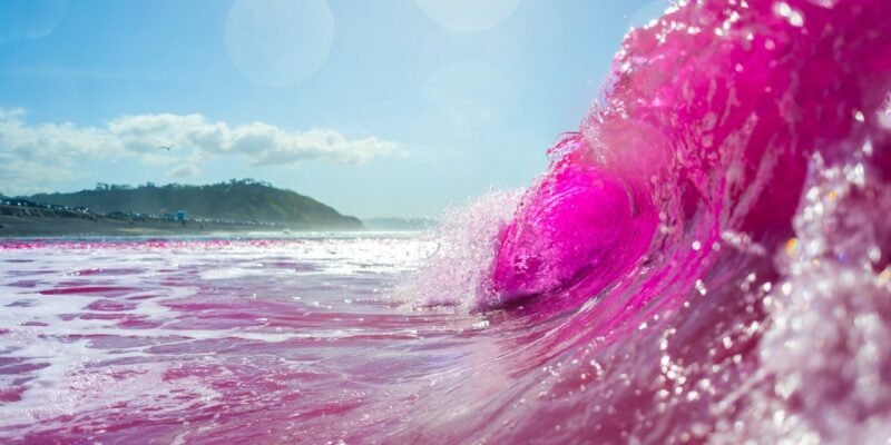 Read more about the article Why Pink Waves Were Suddenly Crashing Off the Coast of San Diego: Photos