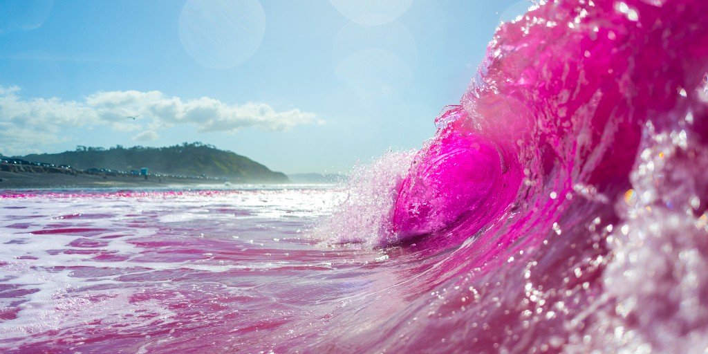 You are currently viewing Why Pink Waves Were Suddenly Crashing Off the Coast of San Diego: Photos