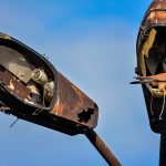 2022 World Nature Photography Awards: See the Incredible Winning Images