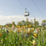 Dutch Expo Showcases Creative Ways to Build a Greener Future ￼