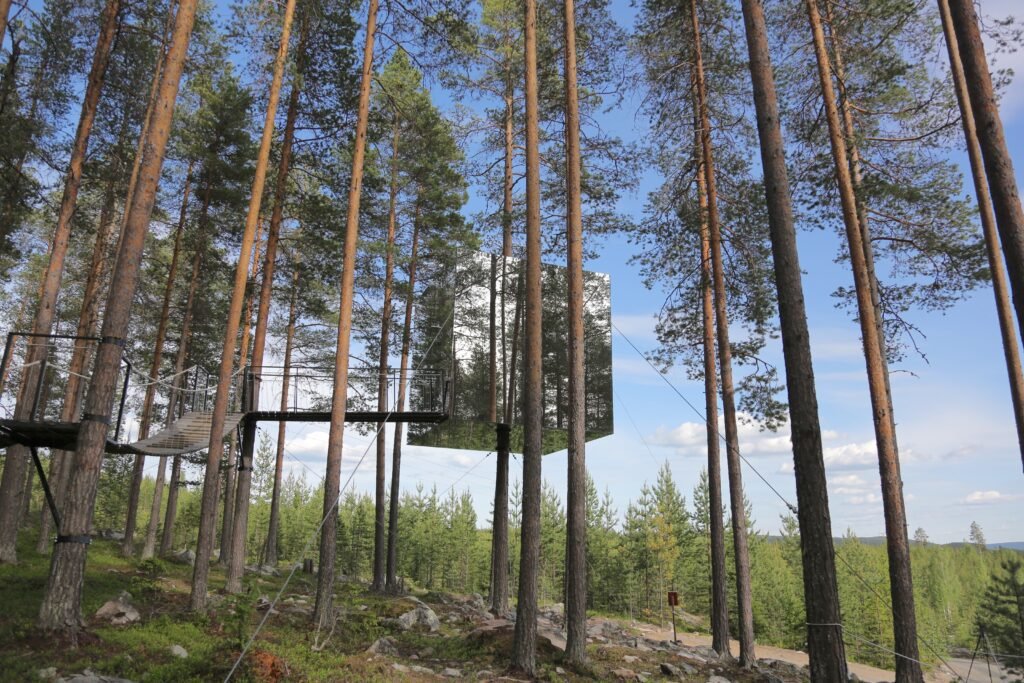 You are currently viewing 12 Unique Treehouse-Inspired Places You Can Visit Around the World