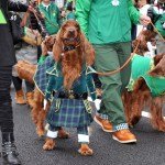 See Photos of St. Patrick’s Day Celebrations Around the World — And One in Outer Space