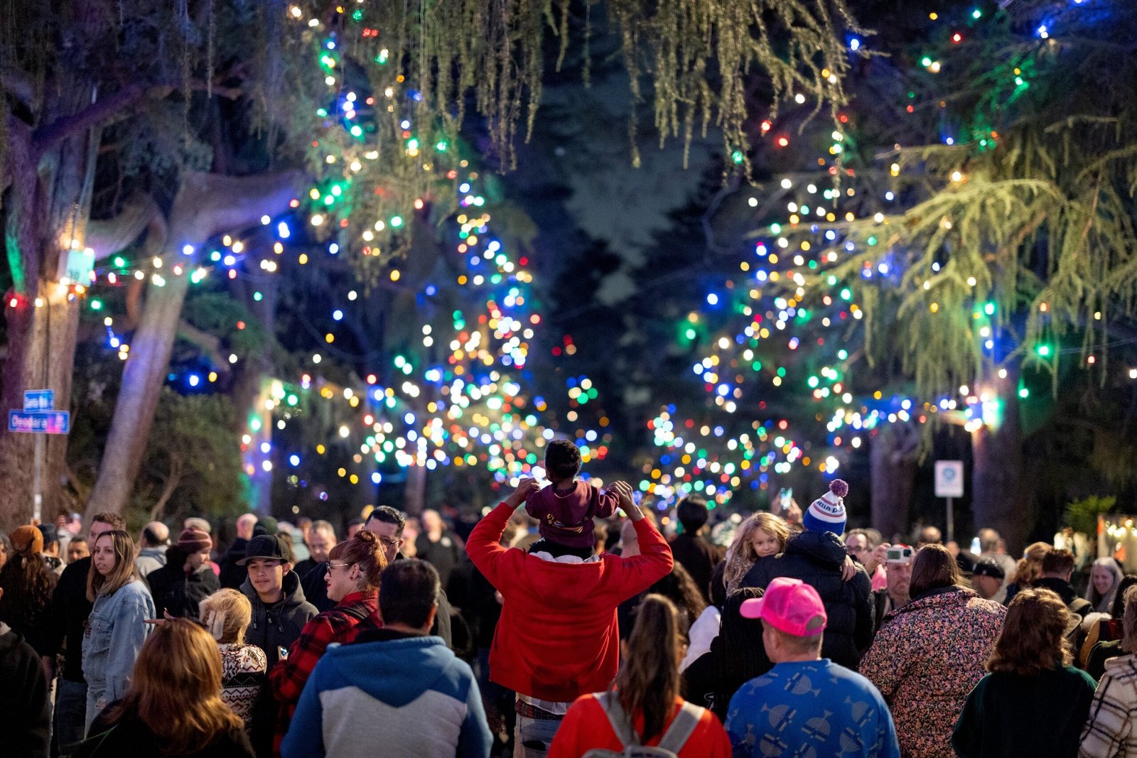 You are currently viewing Altadena’s Christmas Tree Lane: 105-Year-Old Tradition Is Symbol of Resilience Nearly 1 Year Post-Wildfire