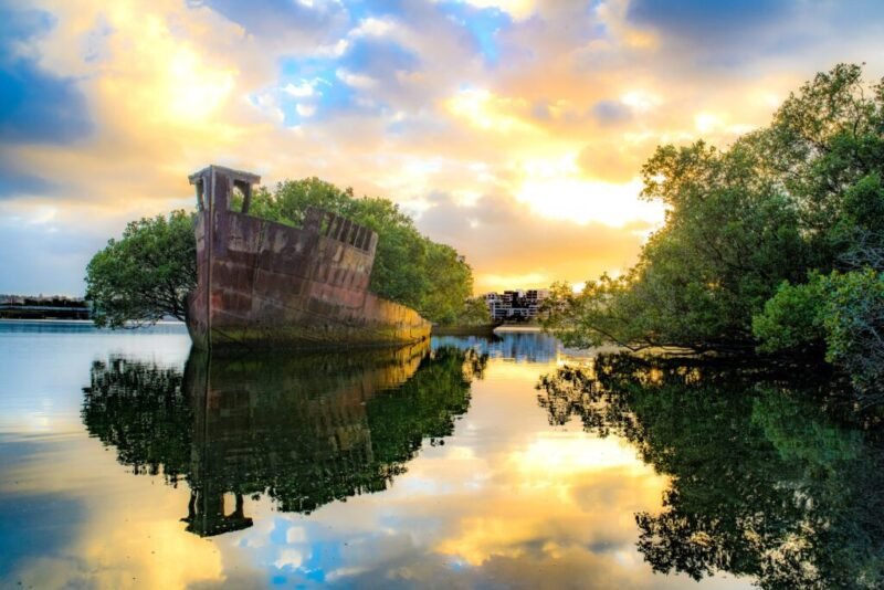 Read more about the article Going Green: 8 Abandoned Places Turned Into Nature Preserves, Public Parks, and More