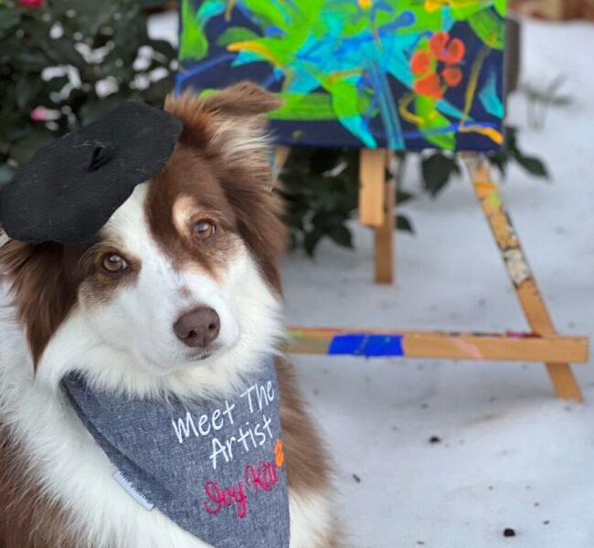 Read more about the article Meet Ivy the Australian Shepherd: Painting Pup Sells Artwork for Charity