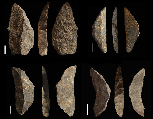Read more about the article 65,000-Year-Old “Swiss Army Knives” Suggest Social Connectivity Among Early Humans