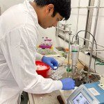 Meet the High School Student, 17, Who Became the First Person to Sequence the Angelfish