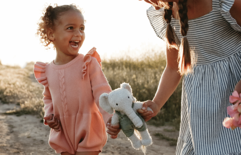 Read more about the article These Adorable Stuffed Animals Are Helping Save Real Elephants, Teaching Kids About Conservation
