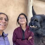 A 27-Year-Old Llama Sets World Record for Oldest of His Species — And He Has the Best Name