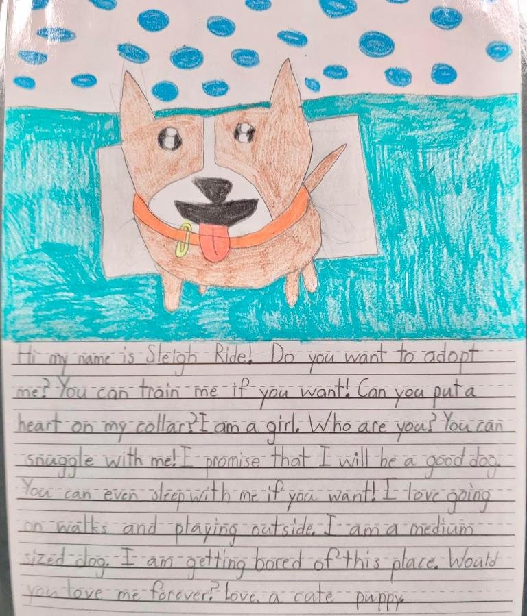 one of the letters written on behalf of shelter pets featuring a bright and cute drawing of a dog