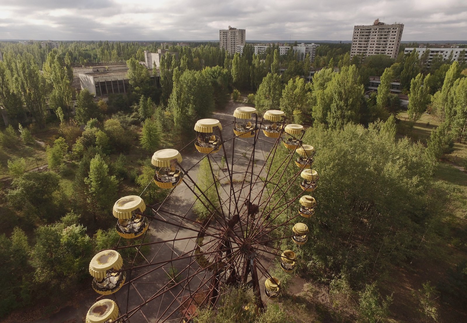 You are currently viewing Nearly 40 Years After Chernobyl’s Nuclear Explosion, the Area Is One of Europe’s Biggest Nature Reserves