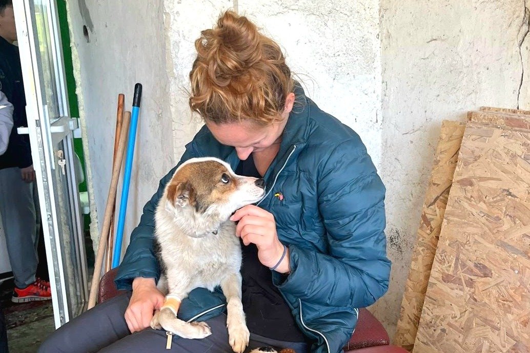 You are currently viewing Meet Colleen Lambo: A Volunteer Vet Who Helped Over 1,000 Animals Amid the Ukraine War