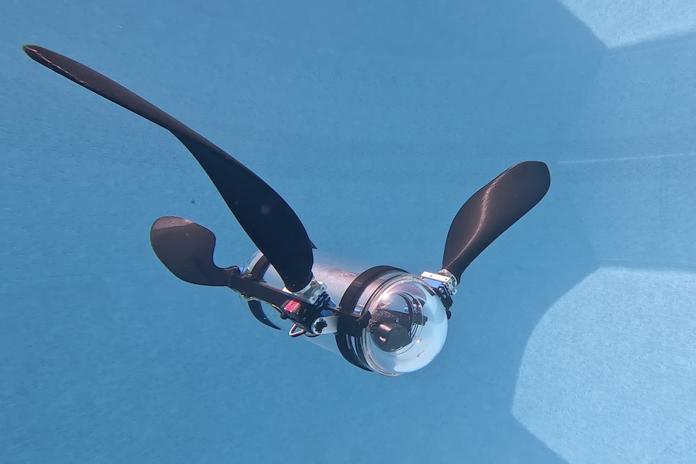 You are currently viewing Teen’s Award-Winning Robot Turtle Could Help Underwater Ecosystems Thrive by Detecting Threats