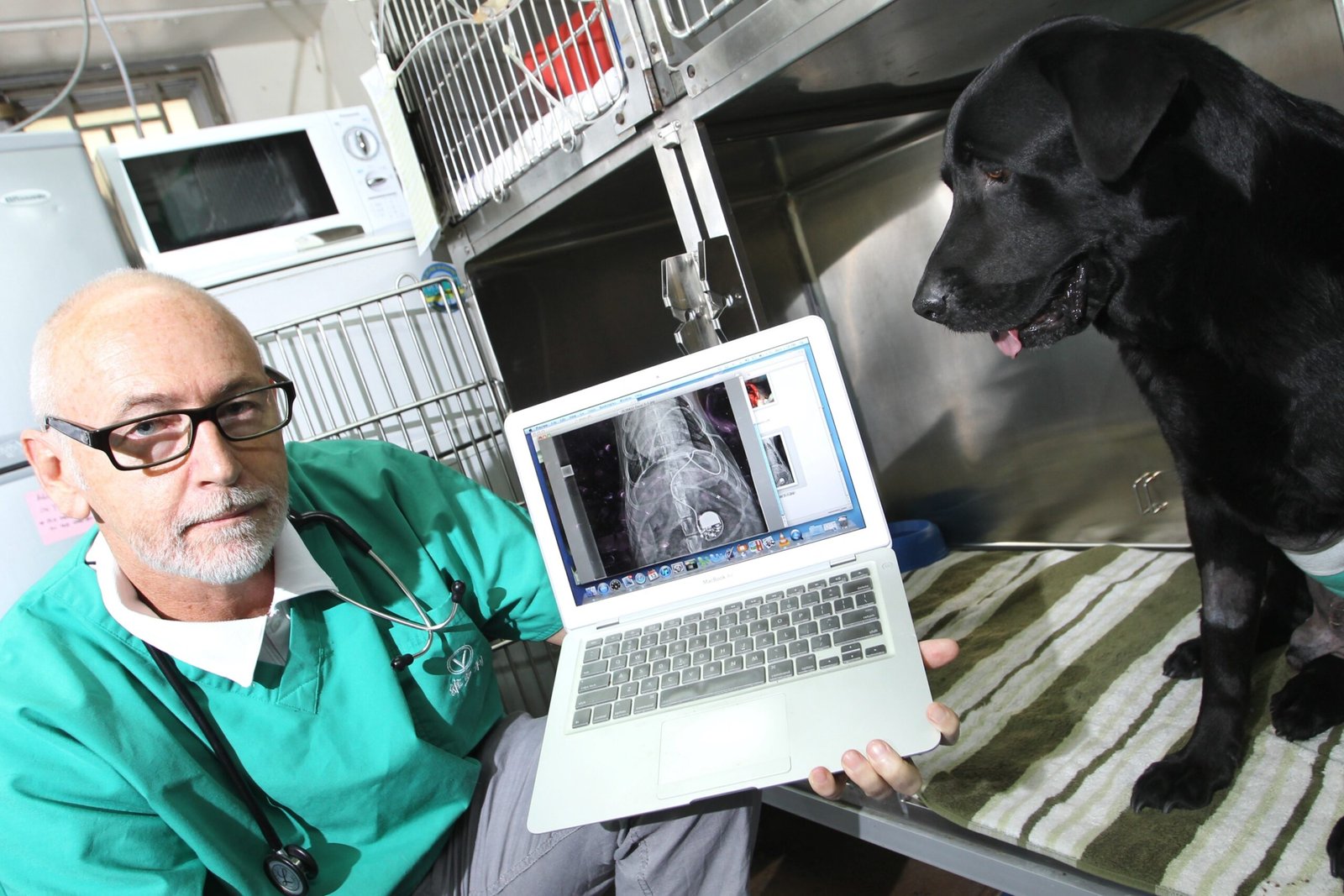 You are currently viewing Did You Know You Can Donate Your Old Pacemaker to a Dog?