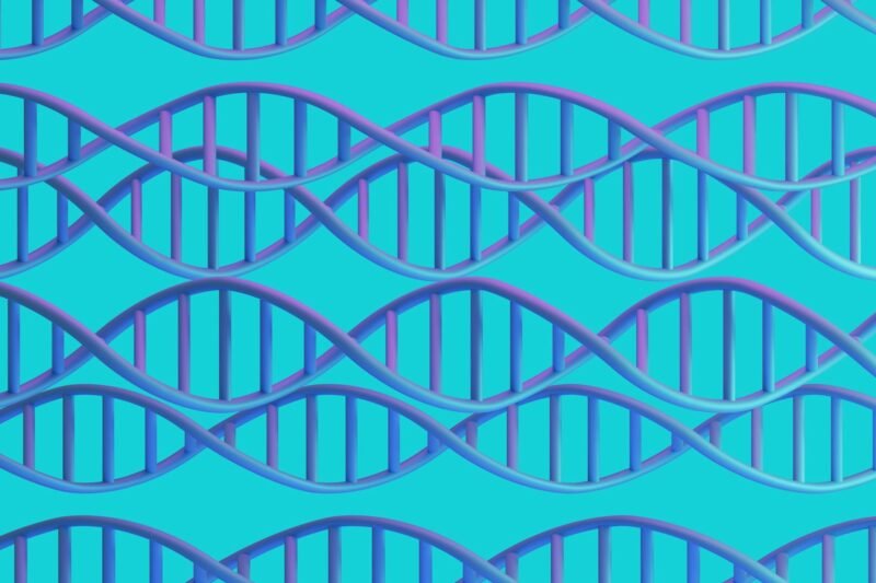 Read more about the article Researchers Uncovered Hundreds of Genes Linked to OCD, Providing Clues About How It Changes the Brain — New Research