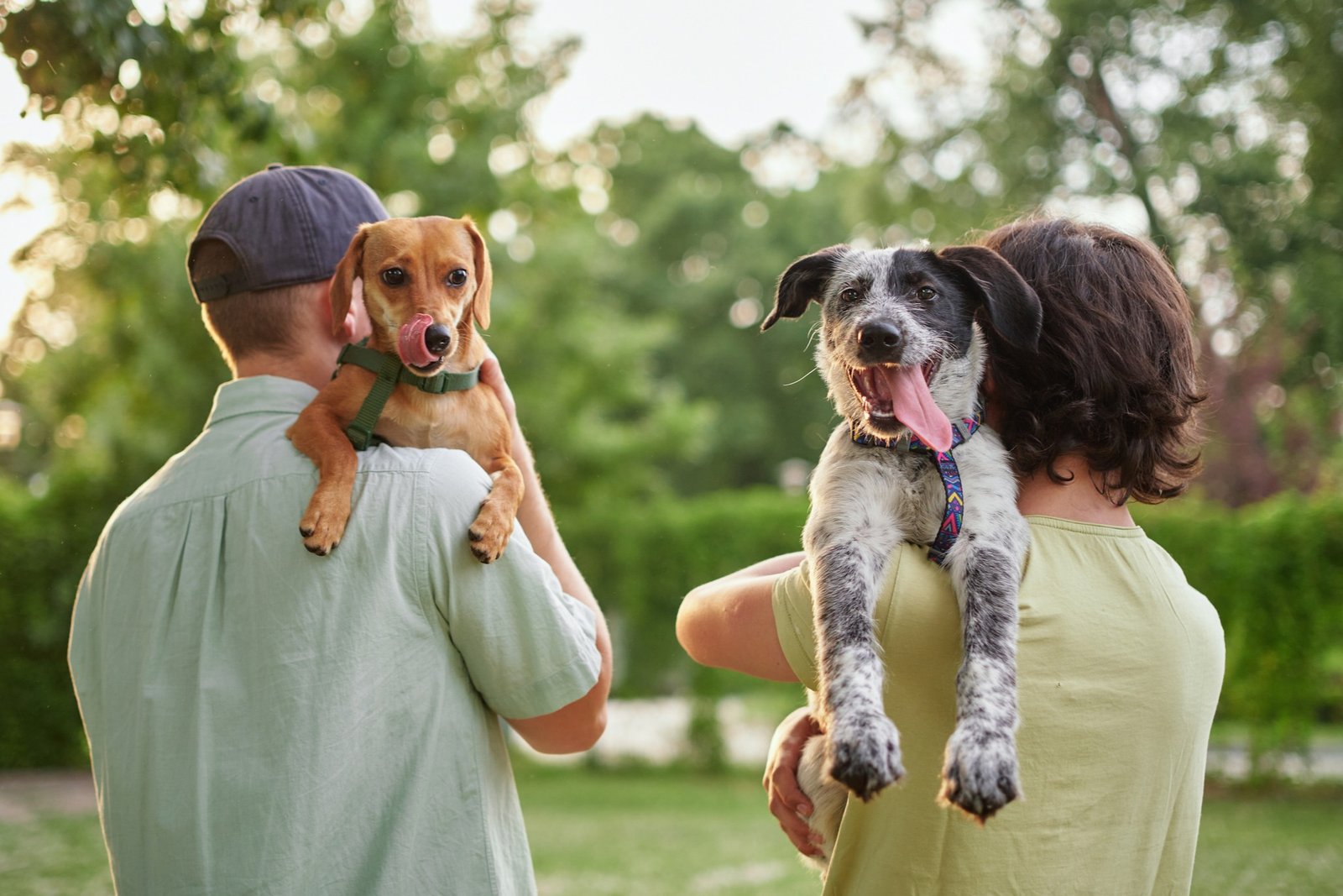 You are currently viewing Love Animals But Can’t Adopt? Take Shelter Pets on a Field Trip