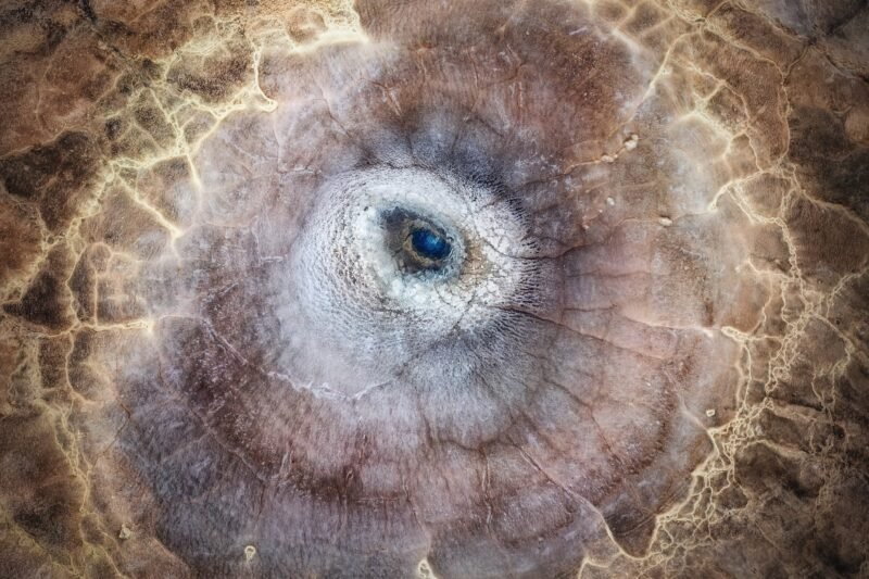 Read more about the article The Winners of the 2025 National Geographic Photography Competition Capture Powerful Moments Around the Globe