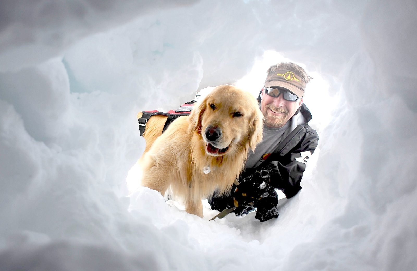 You are currently viewing These (Adorable) Avalanche Dogs Are Trained to Save People Every Winter Across the US